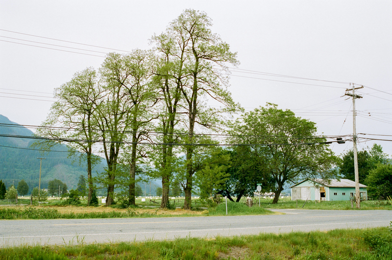 Illustration for article titled First roll of Portra 400